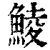 鯪(印刷字体·清·康熙字典)